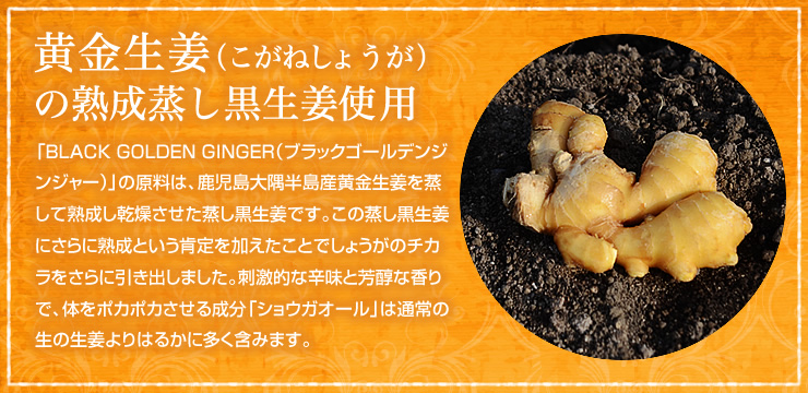 GOLDEN GINGER(ゴールデンジンジャーパウダー)