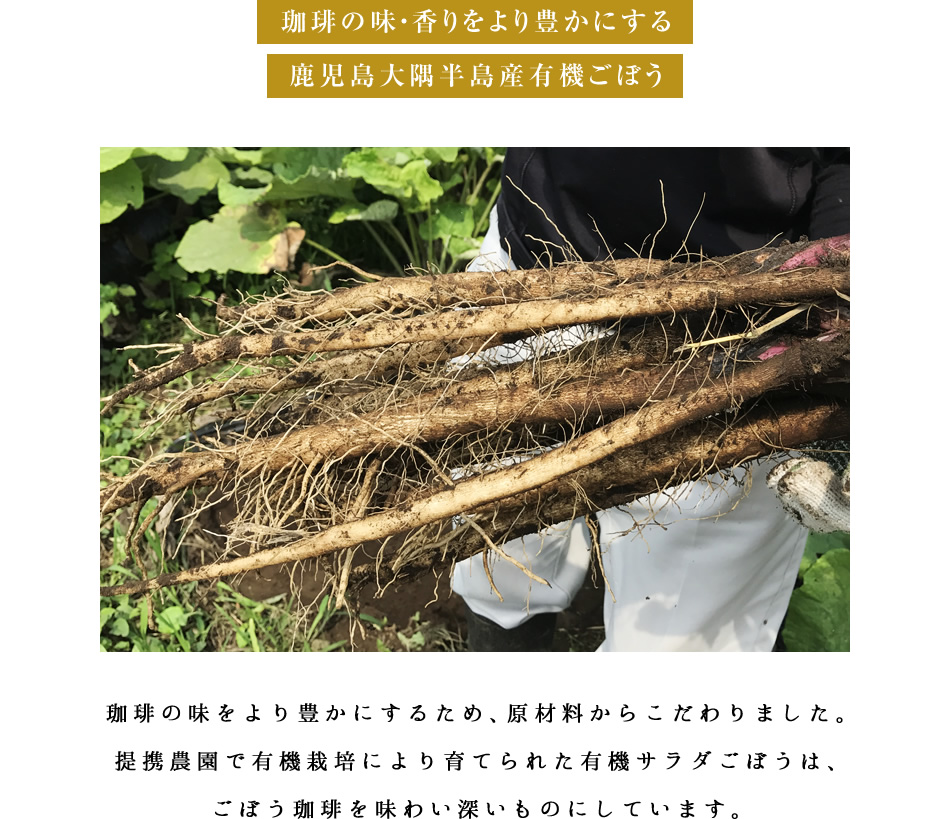 焙煎ごぼう珈琲(コーヒー)