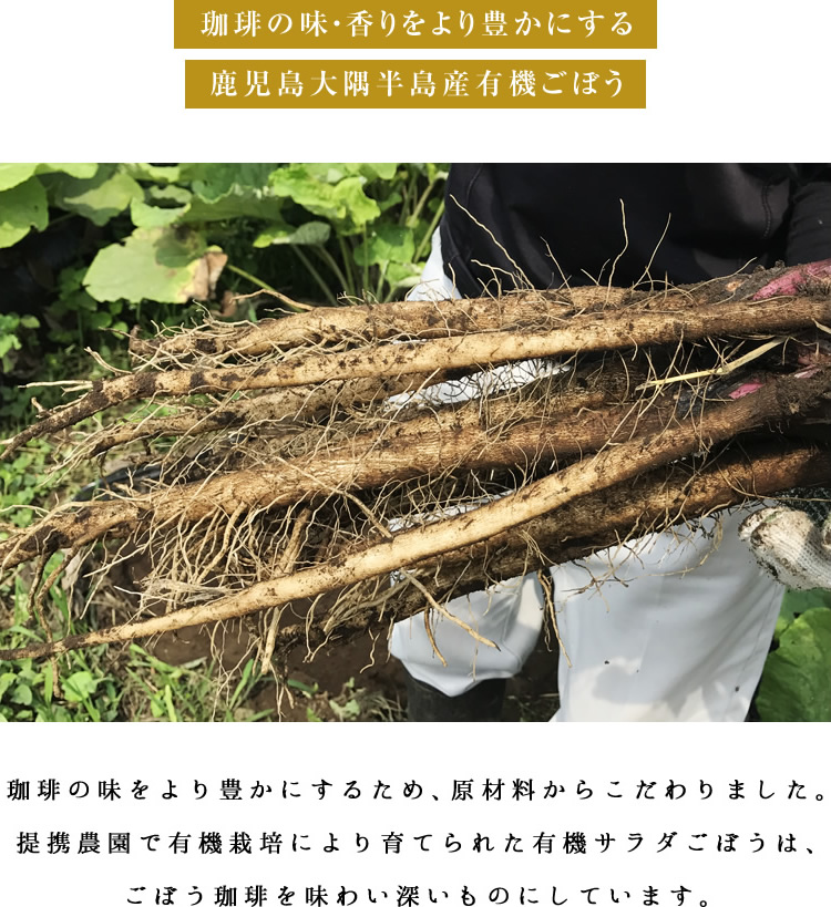 焙煎ごぼう珈琲(コーヒー)