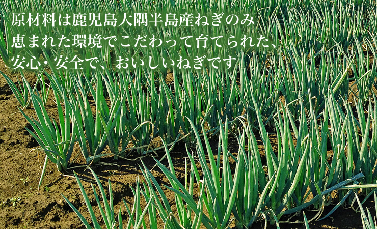 乾燥ねぎ