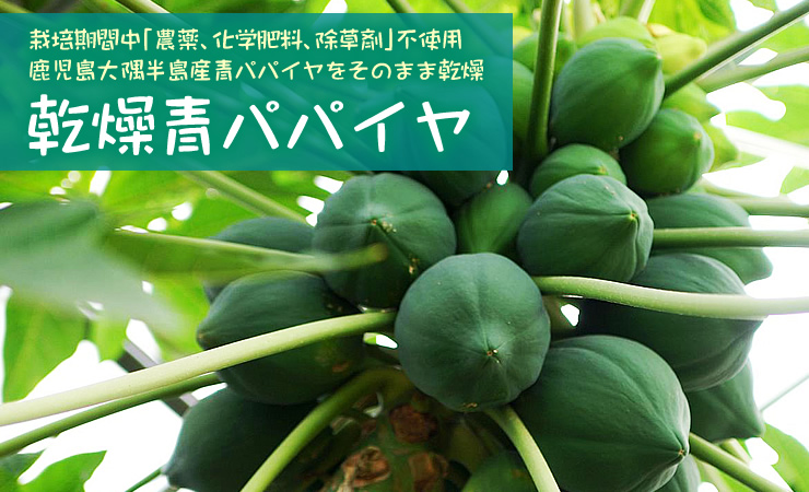 乾燥青パパイヤ