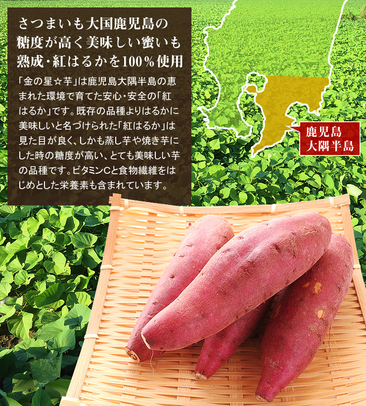 熟成・紅はるか 干し芋