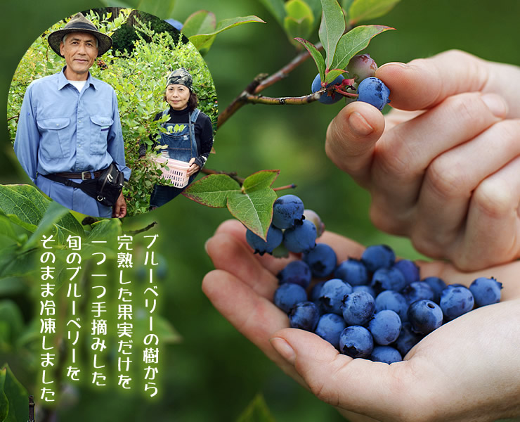 冷凍ブルーベリー