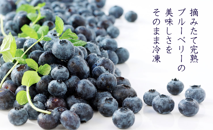 冷凍ブルーベリー