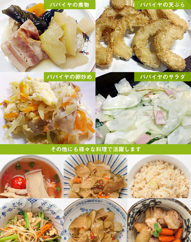 鹿児島大隅半島産「青パパイヤ」