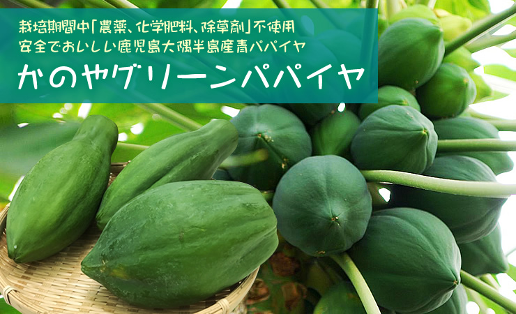 青パパイヤ