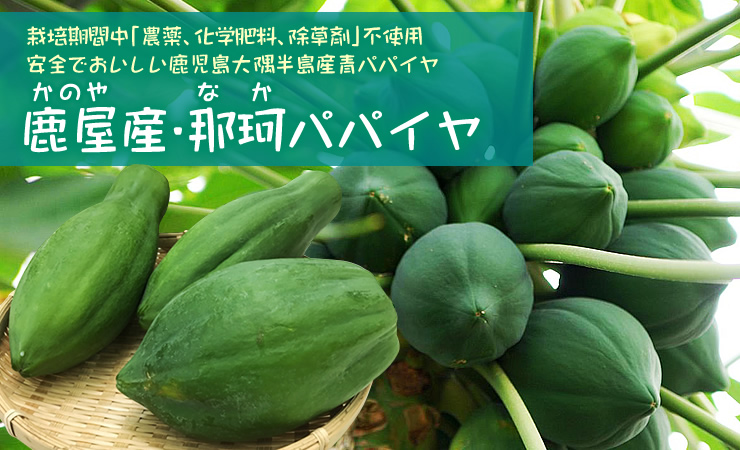 青パパイヤ