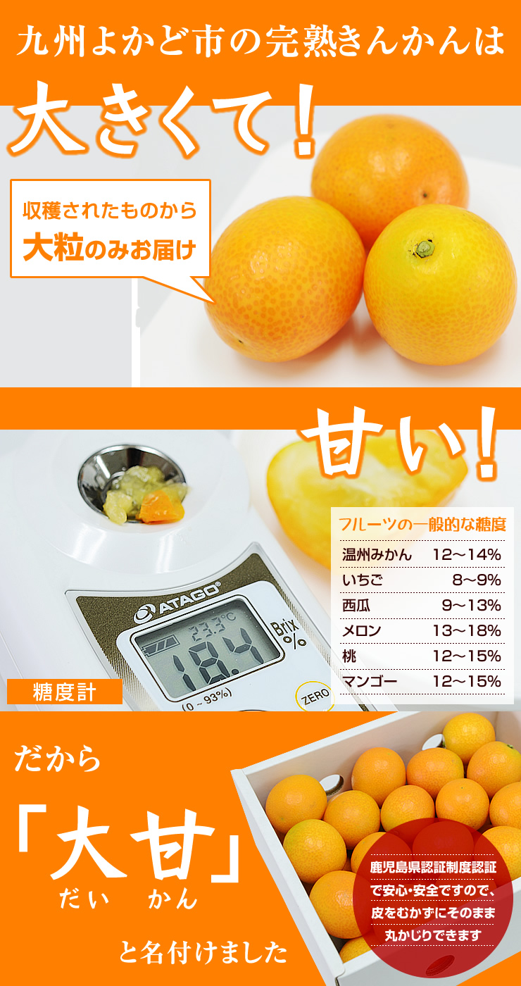 完熟きんかん