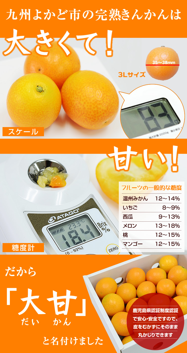 完熟きんかん