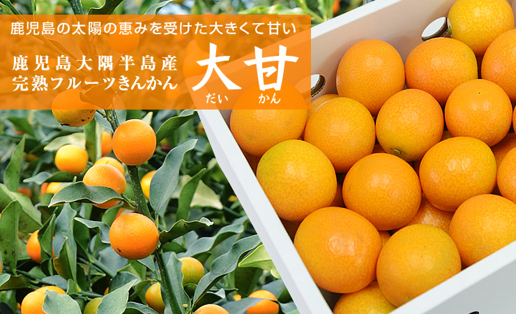 完熟きんかん