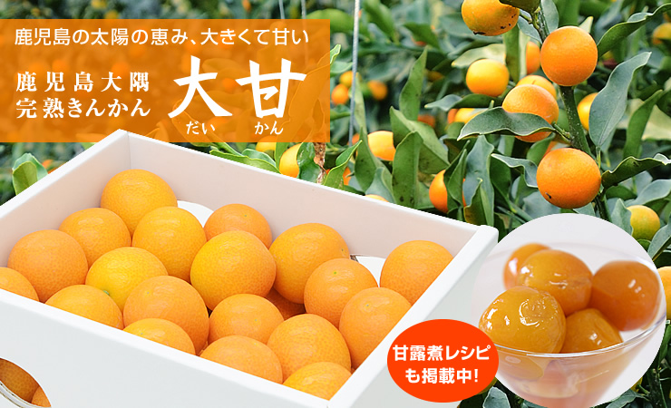 完熟きんかん