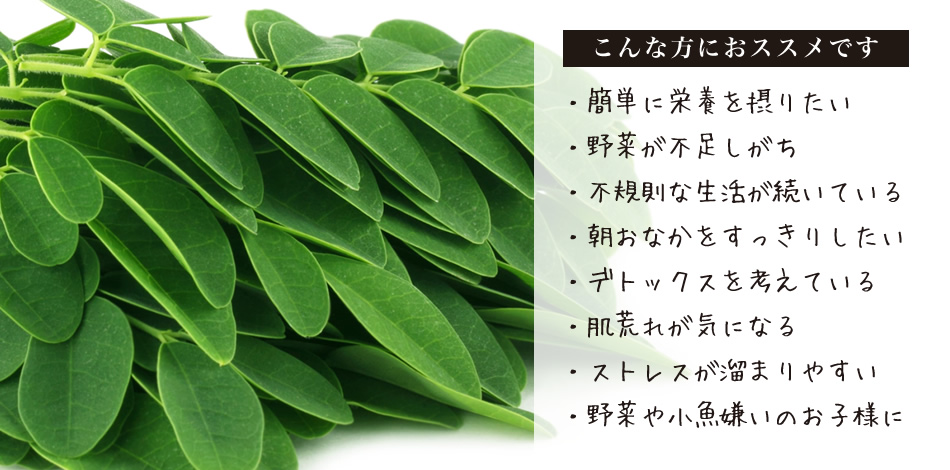 モリンガ茶「万善茶(まんぜんちゃ)」(ほうじ茶タイプ)