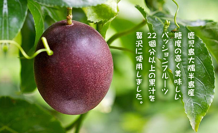 パッションフルーツ濃縮果汁希釈用(加糖)
