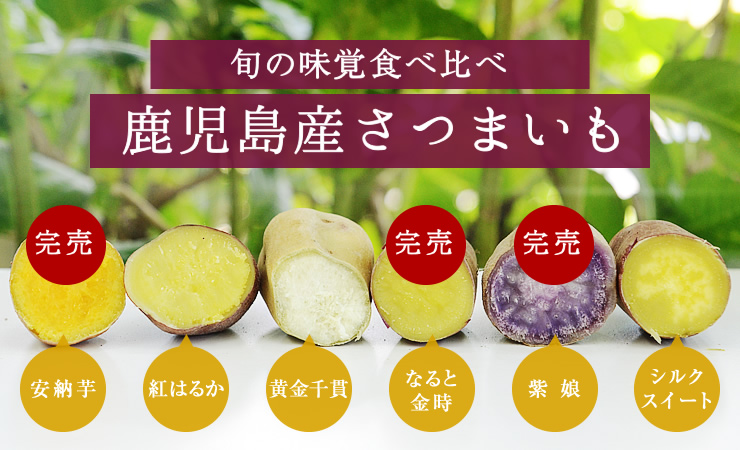 鹿児島産さつまいも6種食べ比べセット