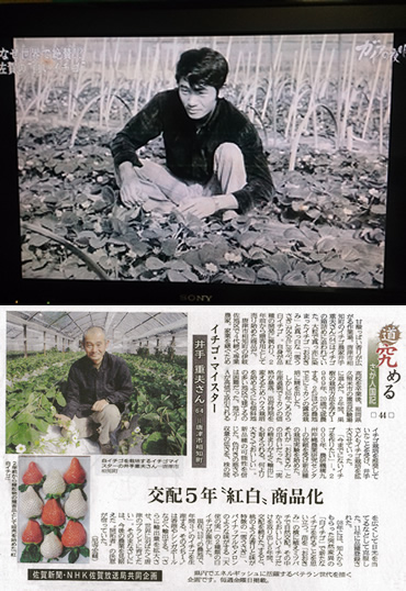 その糖度の高さと希少価値に話題が集まっています。