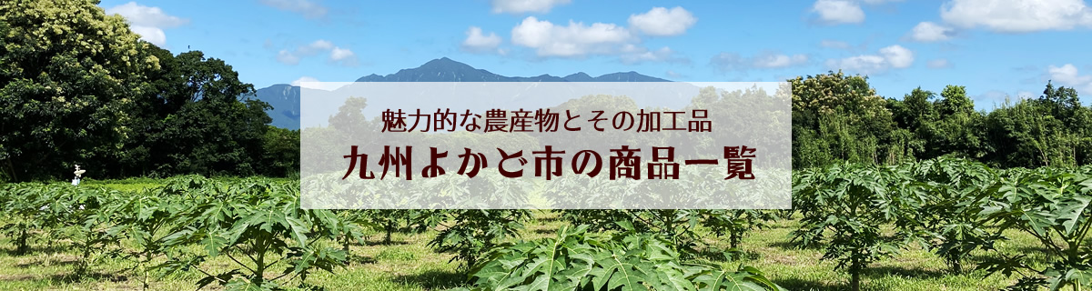 九州よかど市の商品一覧