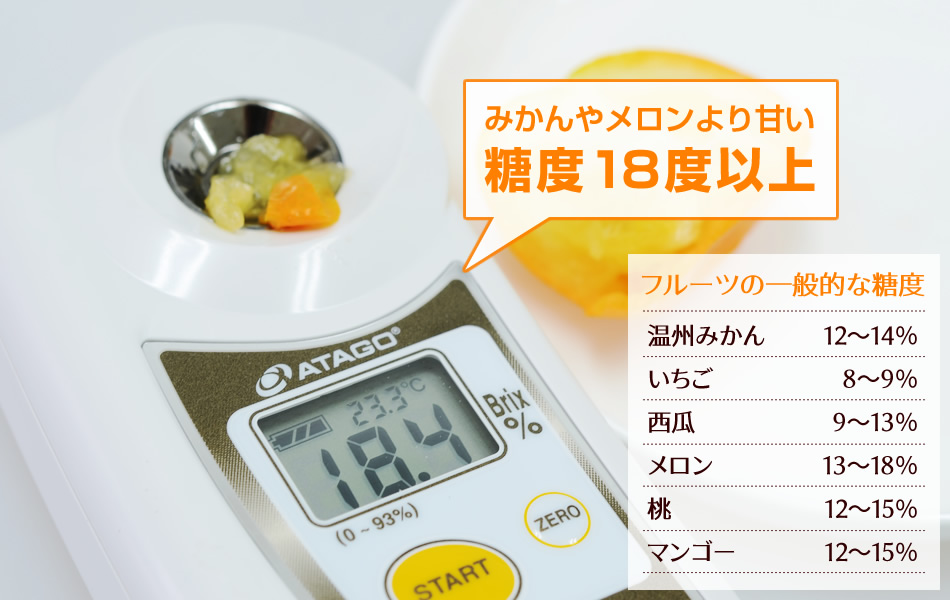 完熟フルーツきんかん「大甘(だいかん)」