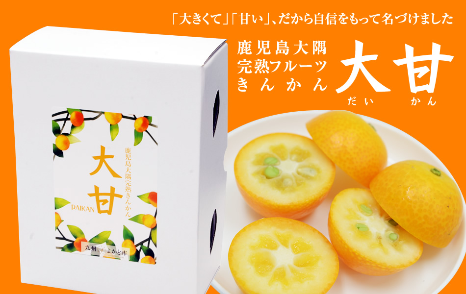 完熟フルーツきんかん「大甘(だいかん)」