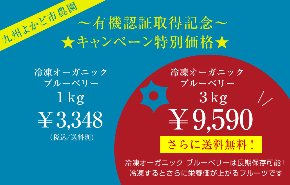 有機生ブルーベリー