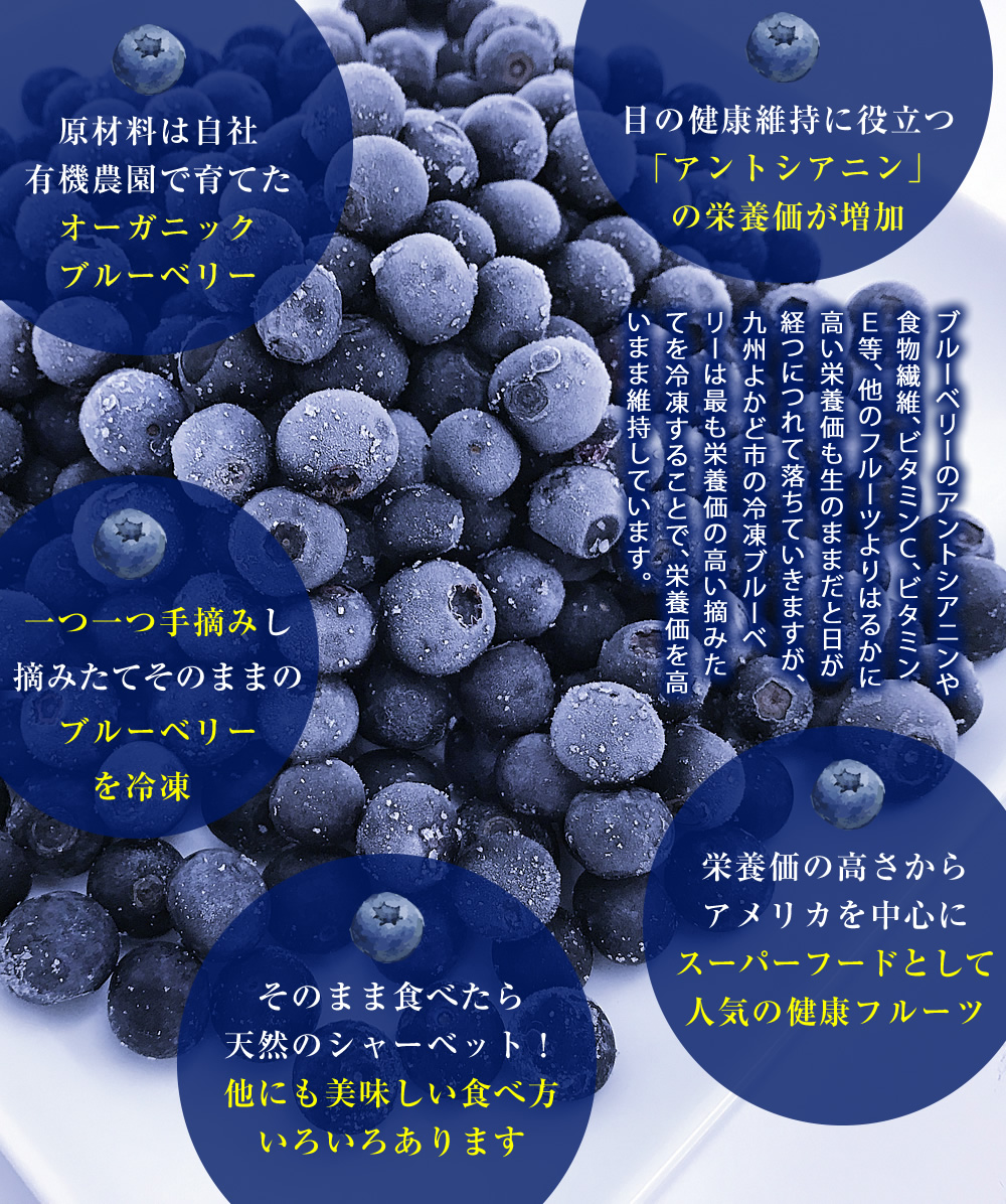 冷凍オーガニック ブルーベリー【鹿児島県産】