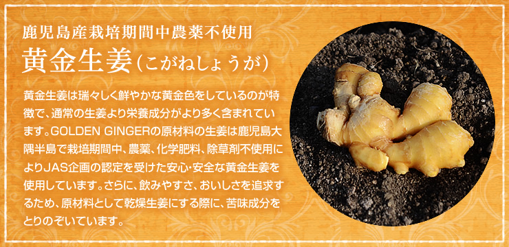 GOLDEN GINGER(ゴールデンジンジャーパウダー)
