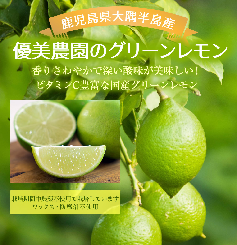 Lemon 様ご確認用 - rehda.com