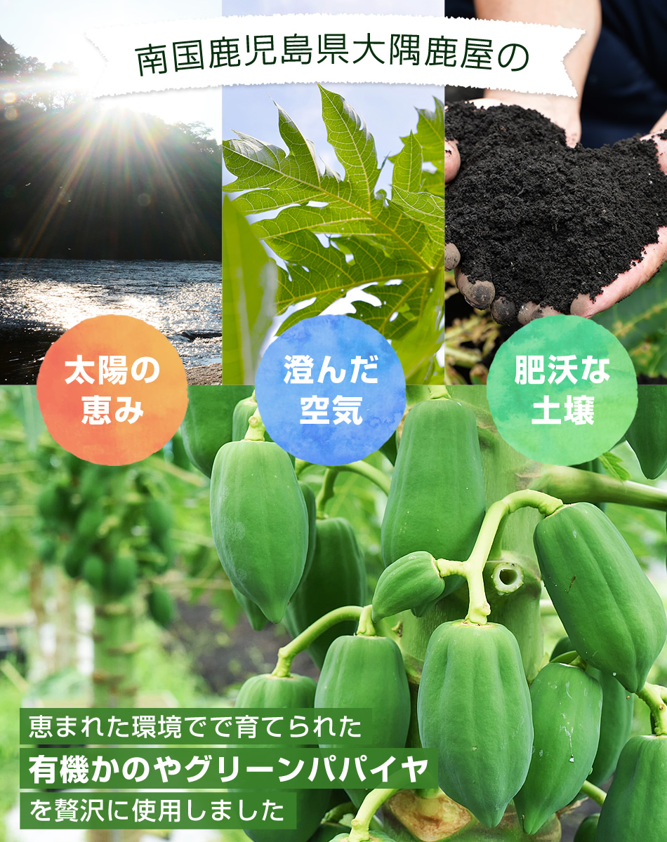 かのやグリーンパパイヤ(青パパイヤ)