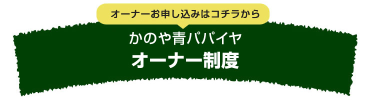 青パパイヤオーナー申し込み