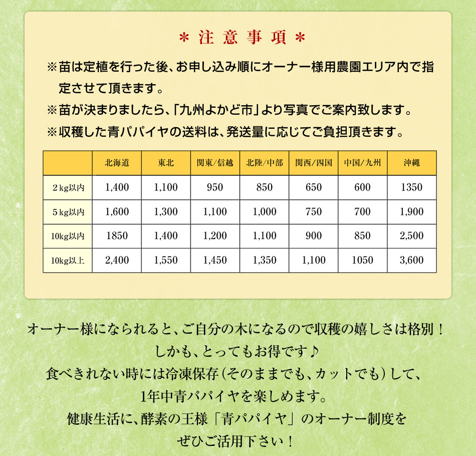 青パパイヤオーナー制度