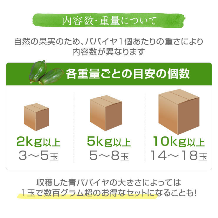 かのやグリーンパパイヤ（青パパイヤ）