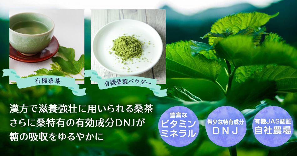 九州よかど市の有機桑商品