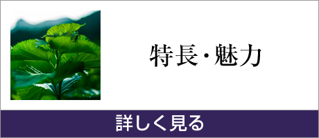 特長・魅力