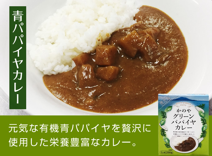 かのや青パパイヤカレー