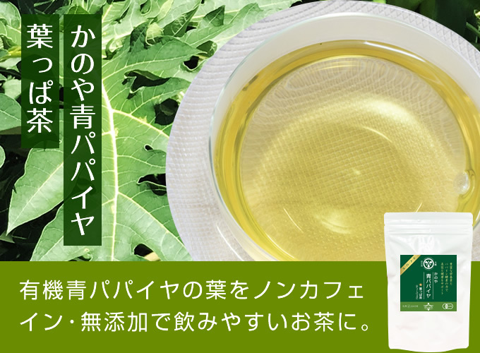 かのや青パパイヤ葉っぱ茶