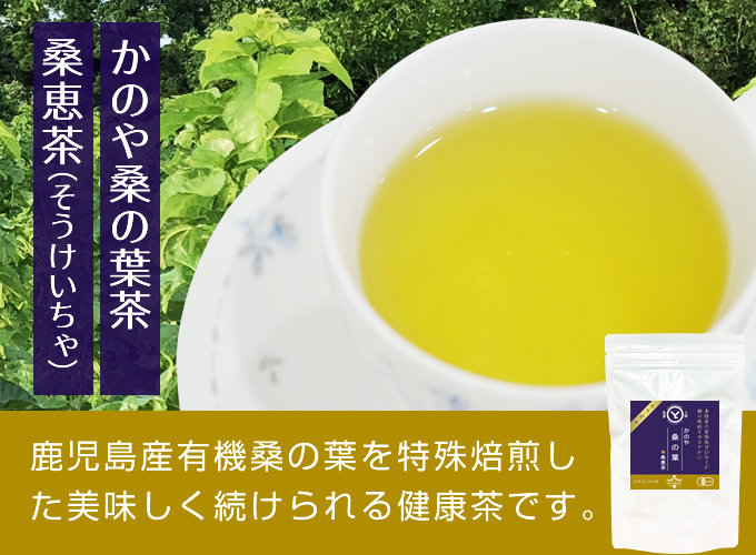 桑の葉茶