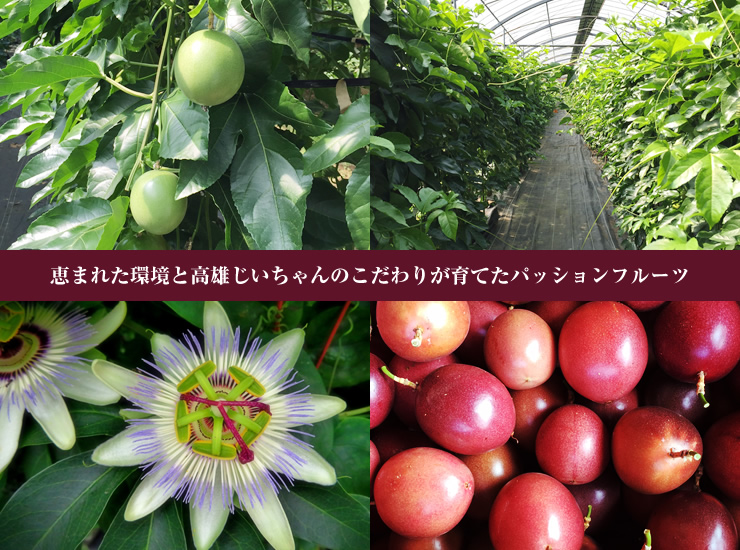 オーガニック・パッションフルーツ 100%果汁希釈用