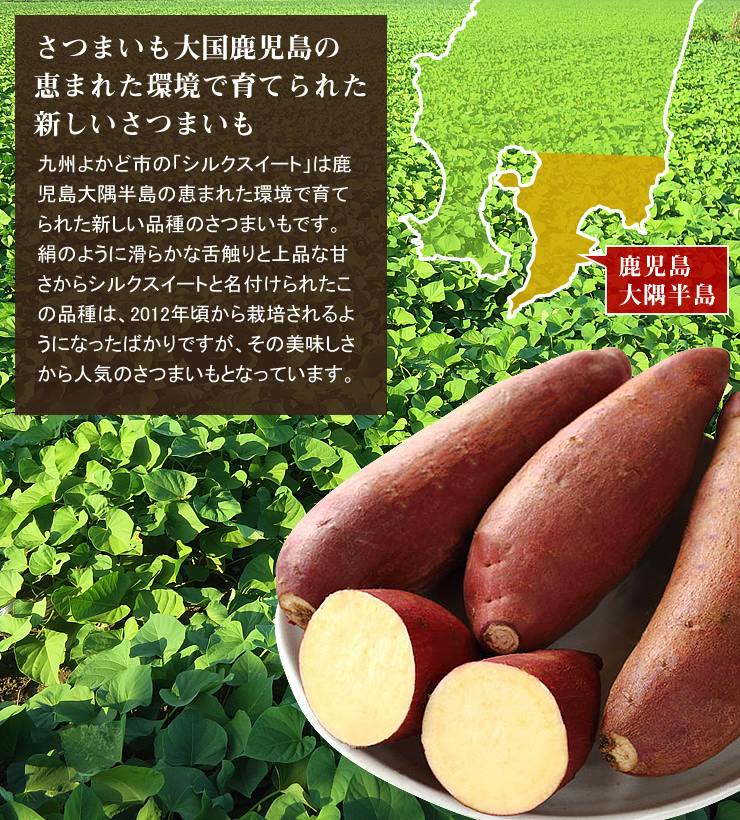 絹のように滑らかな舌触りで上品な甘さのさつまいも「シルクスイート」