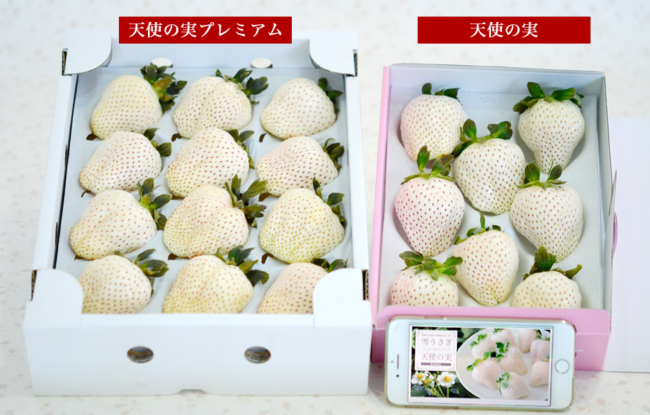 白いいちご「雪うさぎ」「天使の実」