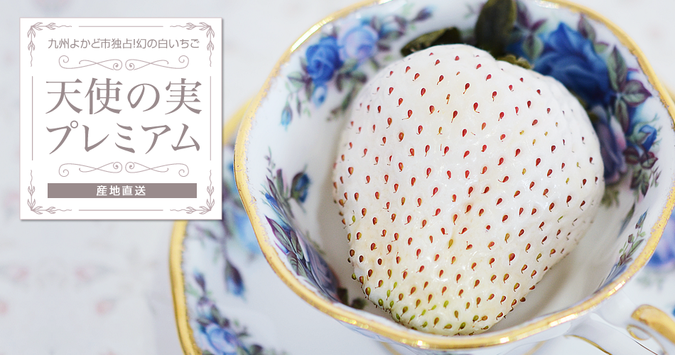 白いいちご「雪うさぎ」「天使の実」