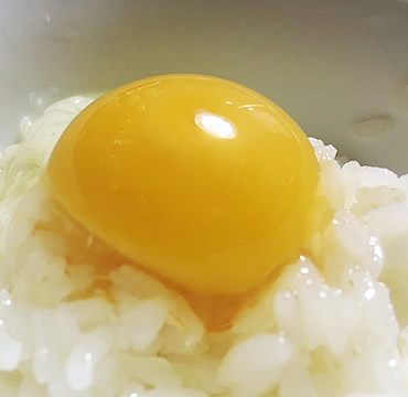 UFOたまご