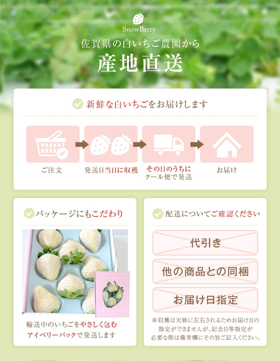 白いいちご「天使の実プレミアム」
