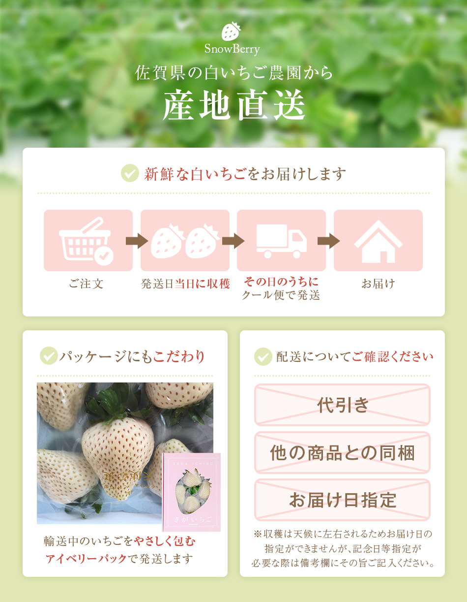 白いいちご「天使の実」