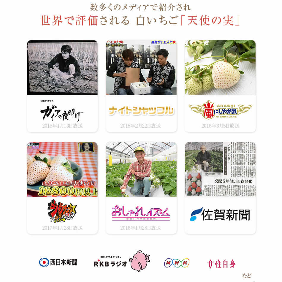 白いいちご「雪うさぎ」「天使の実」
