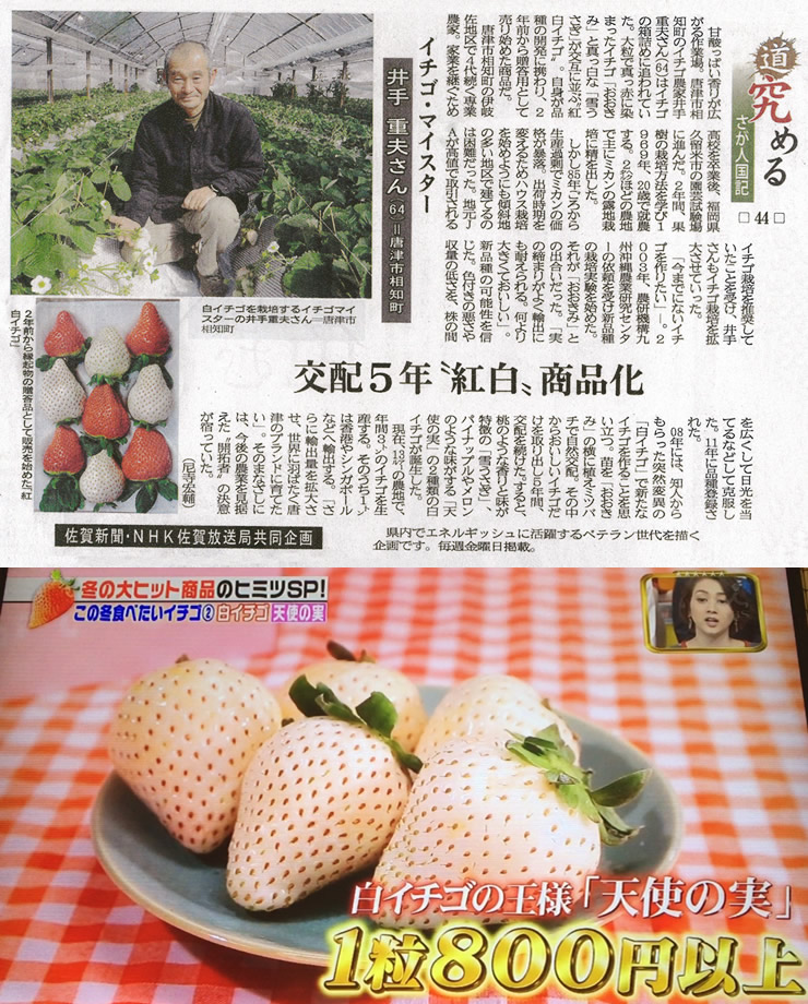 その希少価値に話題が集まっています