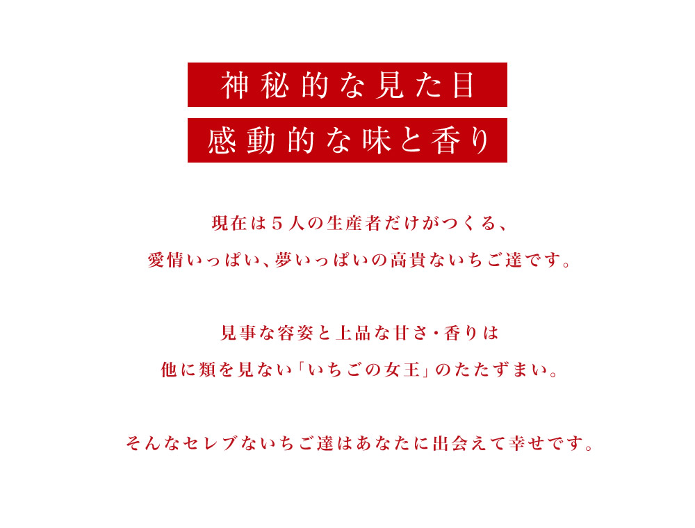 白いちご 雪うさぎ 天使の実 九州よかど市