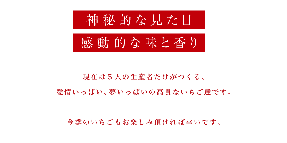 神秘的な見た目、感動的な味と香り、白いちご「天使の実」「雪うさぎ」