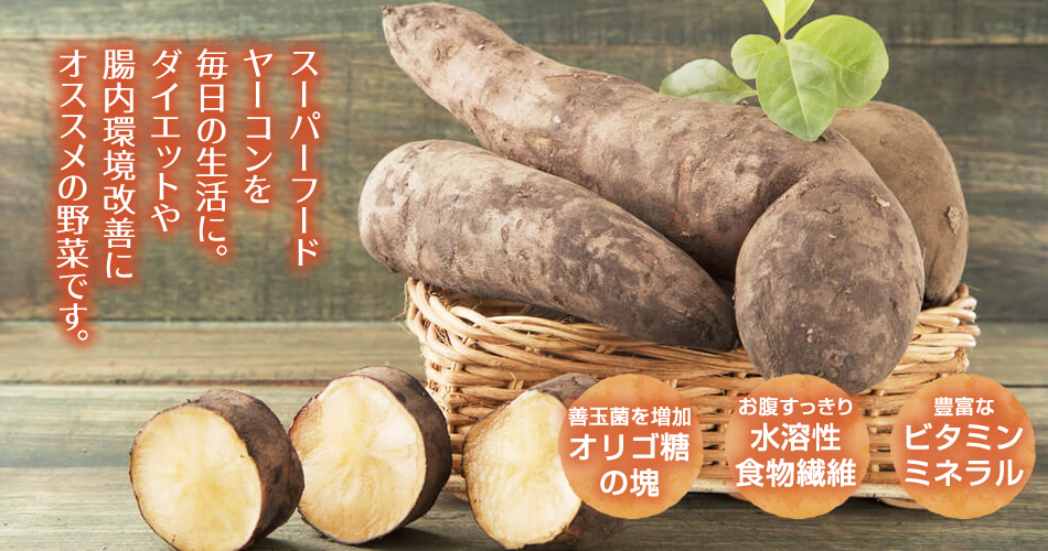九州よかど市のヤーコン商品