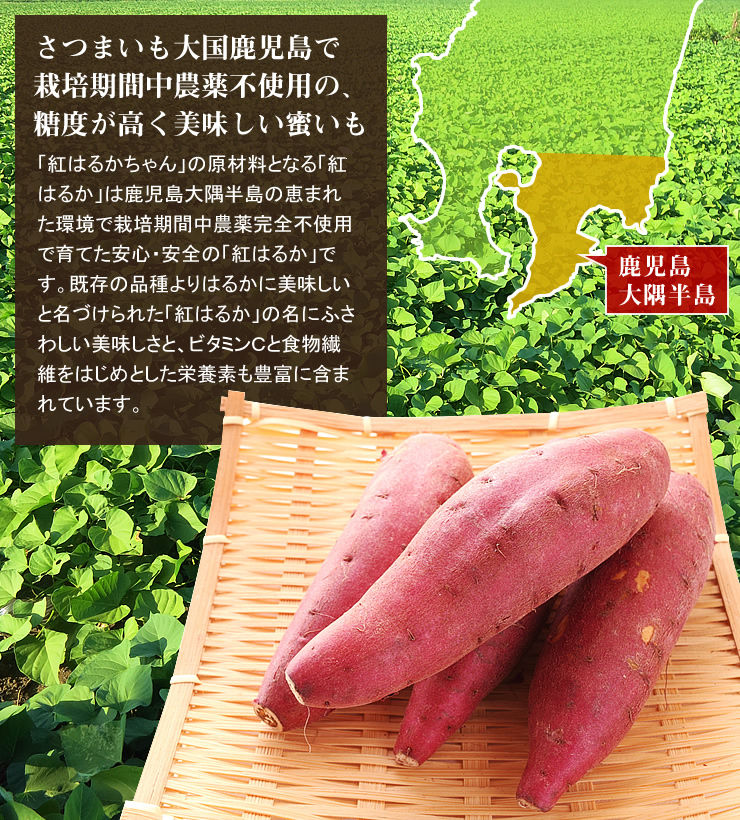 冷凍焼き芋「紅はるかちゃん」
