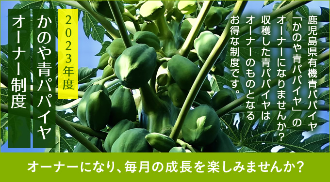 青パパイヤオーナー制度