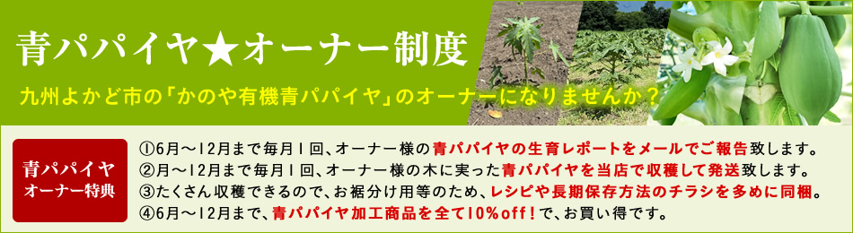 青パパイヤオーナー制度